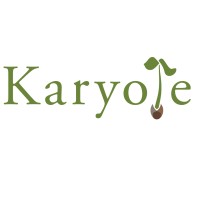 Karyote