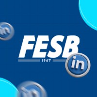 FESB (Fundação de Ensino Superior de Bragança Paulista) logo - Similar company to Todeschini Bragança Paulista