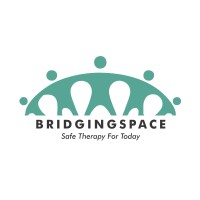 BridgingSpace logo - Similar company to Rapid Response Collections