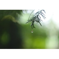 Raindrop Gardening logo - Similar company to Circular Cities