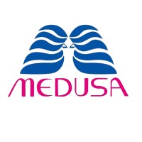 Medusa Paper Trading Llc