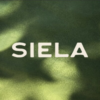 Siela Co logo - Similar company to Careermap4Me