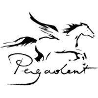 Pegadent España logo - Similar company to Salcodent