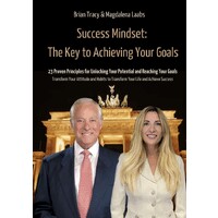Successful Mindset - The Key to Achieving Your Goals logo - Similar company to Disc & Drijfveren