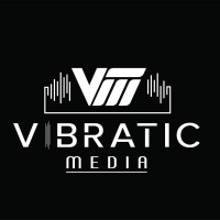 Vibratic Media Private Company logo - Similar company to B2B  Solutions Company