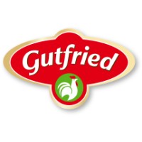 Gutfried Services GmbH logo - Similar company to Team Se