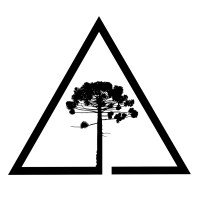 Austral Consulting Partners logo - Similar company to Milestonex