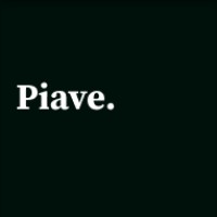 Piave Digital Agency logo - Similar company to Mon5