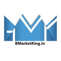 BMarketKing logo - Similar company to Vavi World - Industrial Real Estate