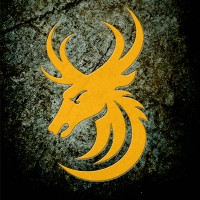 Team Wild Media