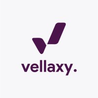 Vellaxy Company logo - Similar company to Webnova Tech