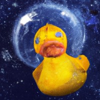 Odder Duck
