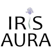 IRIS AURA logo - Similar company to Yeni Mimari