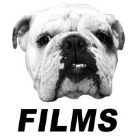 Clever Bunch logo - Similar company to Hollywood 4Wrd