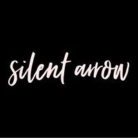 Silent Arrow logo - Similar company to Union Robotics