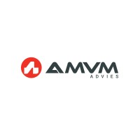 AMVM Advies logo - Similar company to Dmidee