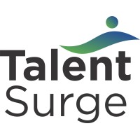 TalentSurge logo - Similar company to Stamina