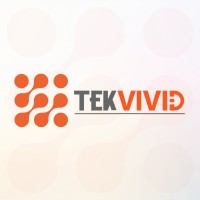 TekVivid, Inc logo - Similar company to Opulentsoft Llc