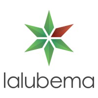 Lalubema Sistemas Ltda logo - Similar company to Otus7