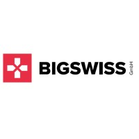 Bigswiss GmbH logo - Similar company to Advanced Systemhaus Gmbh