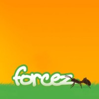 Forcez B.V. logo - Similar company to Qonditive