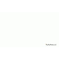 Fly My Photo, Llc