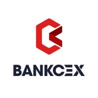 BankCEX logo - Similar company to Boring Security