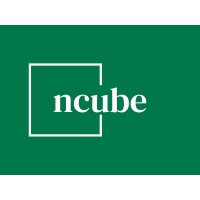 N-Cube logo - Similar company to Team6