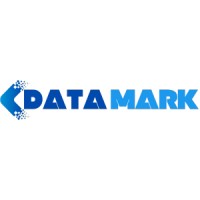 DataMark logo - Similar company to Interview
