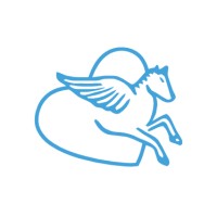 Pegasus Medical S.r.l. logo - Similar company to Vassilli Srl