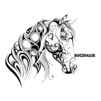 BUCEFALUS logo - Similar company to Recomind