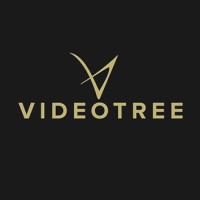 Videotree logo - Similar company to Fluxio Technologies