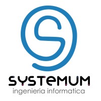 Systemum ingenieria informatica logo - Similar company to Rehue S.A.