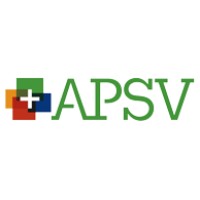 APSV comptables professionnels agréés inc. logo - Similar company to Sassi Et Associé Cpa Inc.