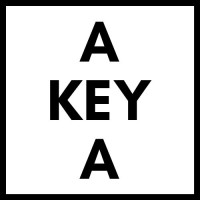AKEYA logo - Similar company to X&Immersion