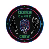 IESEG Danse logo - Similar company to Stream Engineering