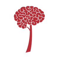 BrainTrain-SA logo - Similar company to Shadow Lines Llc