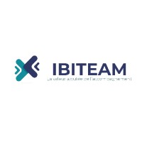 IBITEAM logo - Similar company to Irmh