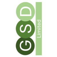 Growth Strategy-Direction Limited logo - Similar company to Nessim Works