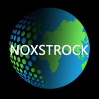 Noxstrock Geospatial Solutions logo - Similar company to Mssr Ltd