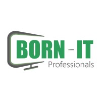 BORN-IT Professionals logo - Similar company to Borg-Osc