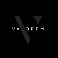 VALOREM logo - Similar company to Abc.Der