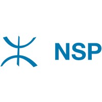 NorthSouth Petro FZ-LLC logo