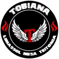 Tobiana E.C Limassol - Mesa Yeitonia logo - Similar company to Mindedge