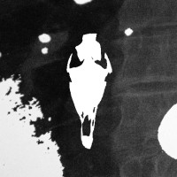 ASNS logo - Similar company to Asns Ingredient