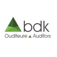 bdk Auditors logo - Similar company to Bvsa Group | Groep