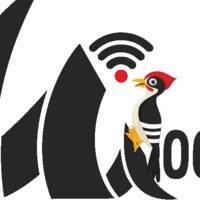 Woodpecker Network Inc