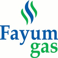 Fayum Gas Company logo - Similar company to Telecom Wireless Solutions