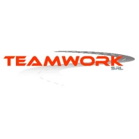 Team Work srl logo - Similar company to Team Work