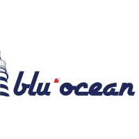 Blu Ocean AG logo - Similar company to Stt Plus Ag